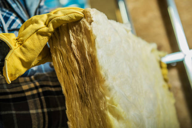 Best Cellulose Insulation  in Bismarck, MO
