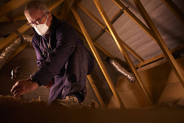 Best Attic Insulation Near Me  in Bismarck, MO